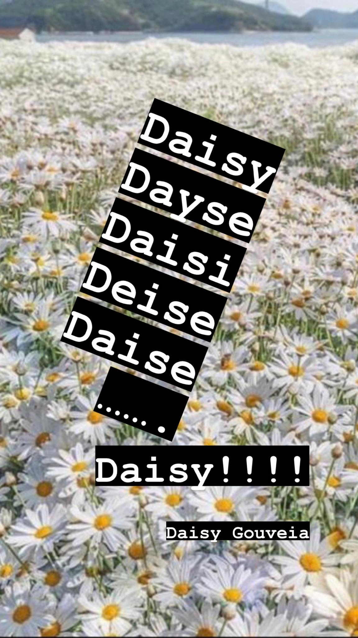 Daisy, deise, deisy, dayse, deyse