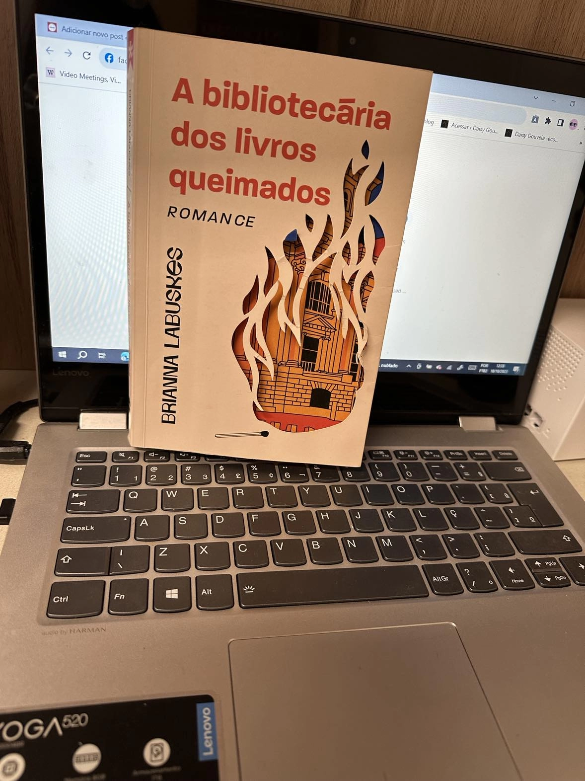 A bibliotecária dos livros queimados/Brianna Labuskes