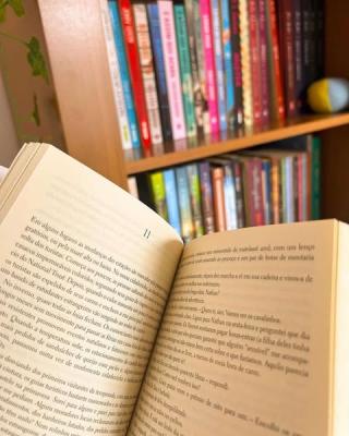 2025, o ano que me tornarei um devorador de livros., Daisy Goveia